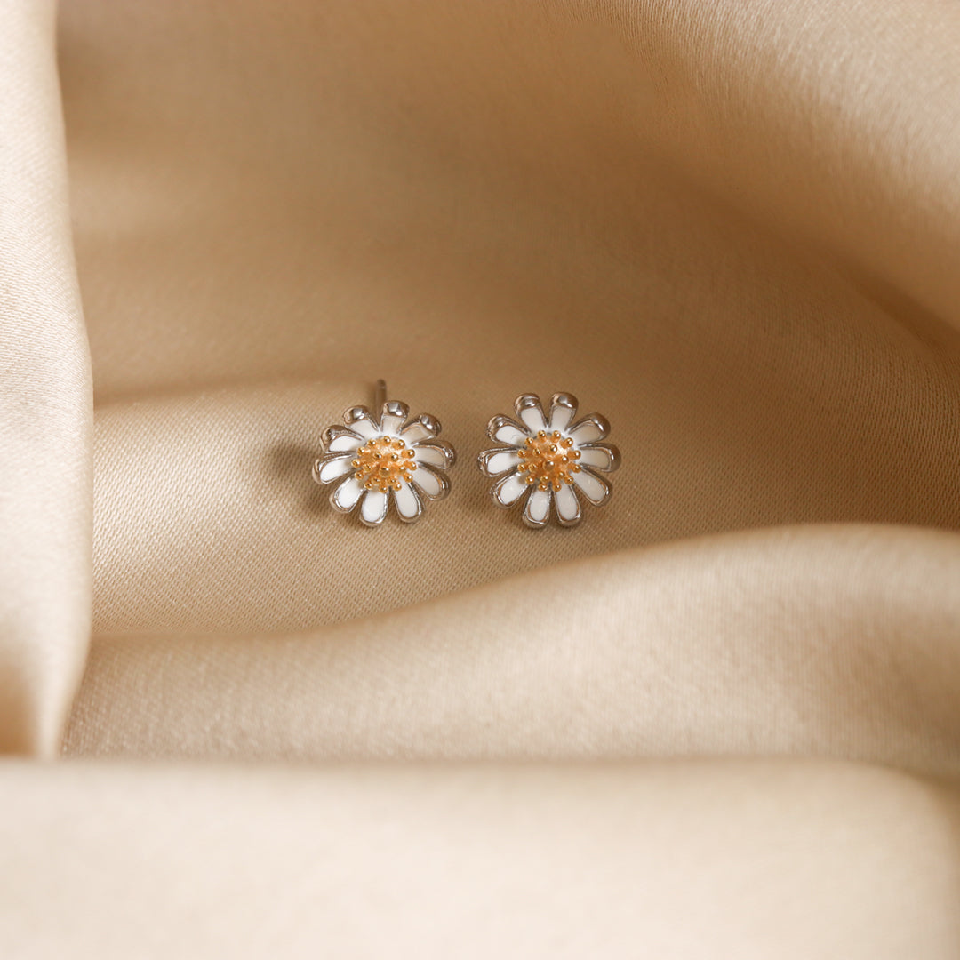 Daisy Studds-1