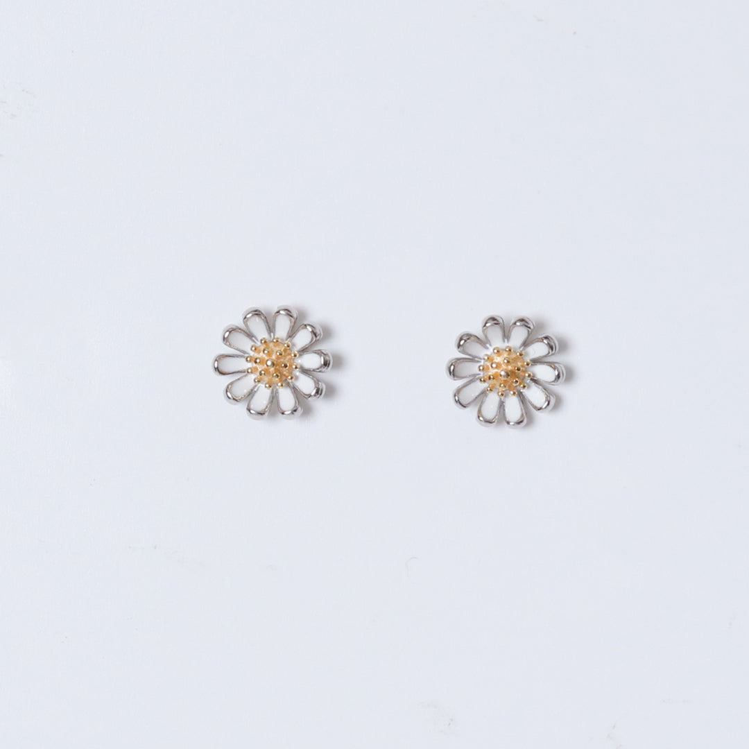 Daisy Studds-3