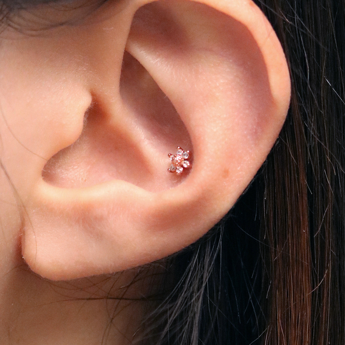 Daisy piercing-2