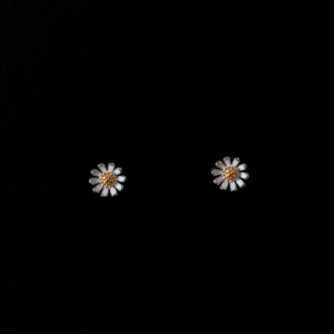 Daisy Studds-2