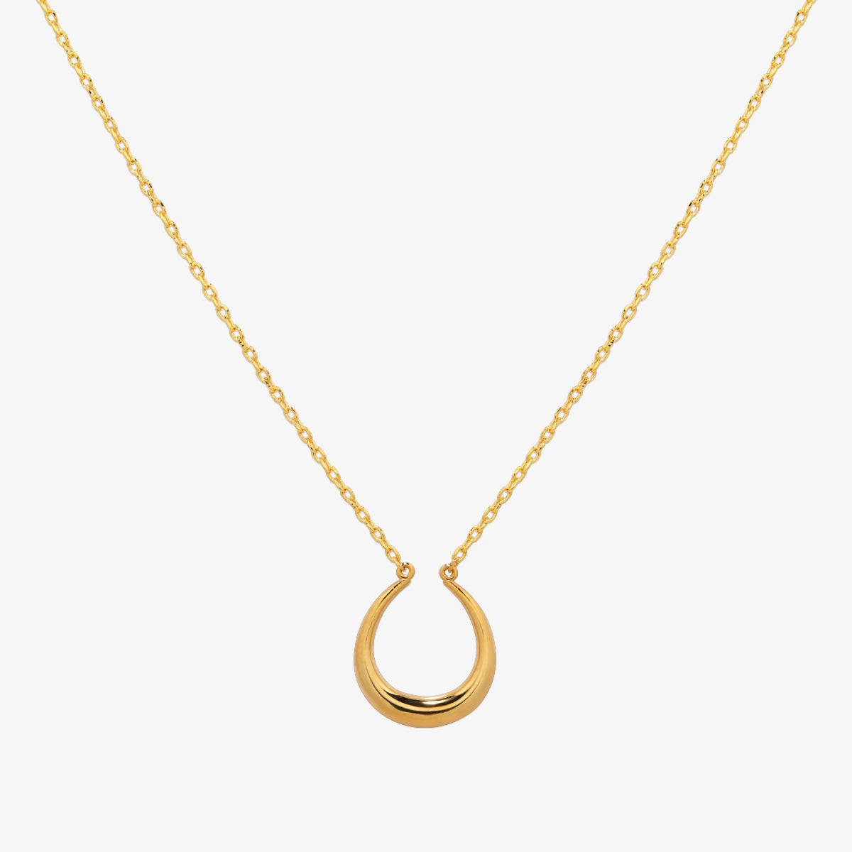 Horseshoe style necklace-0