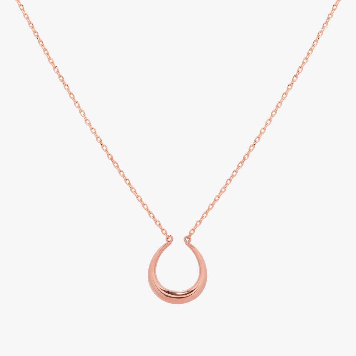Horseshoe style necklace-5
