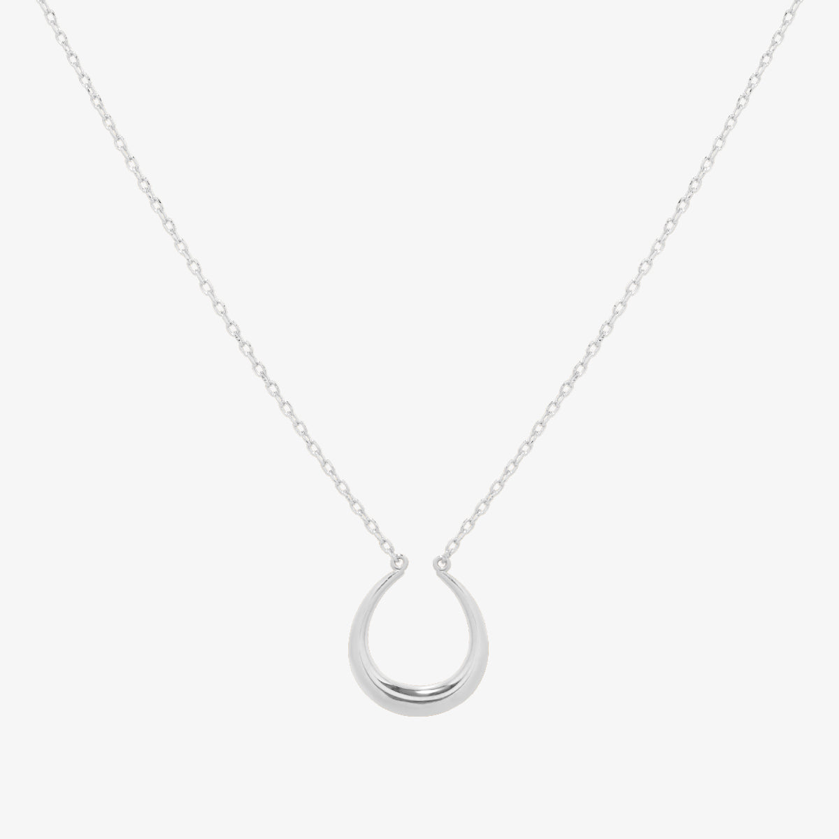 Horseshoe style necklace-4